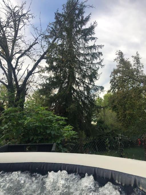 Charmant Gite En Perigord Vert Douchapt Εξωτερικό φωτογραφία